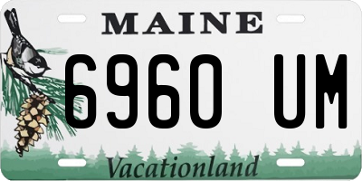 ME license plate 6960UM