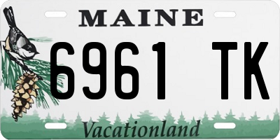 ME license plate 6961TK