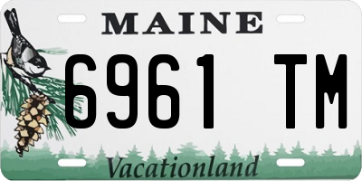 ME license plate 6961TM