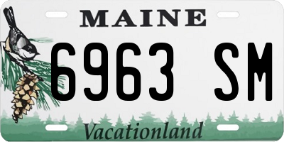 ME license plate 6963SM