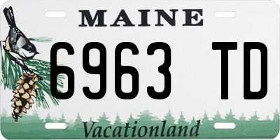 ME license plate 6963TD