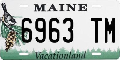 ME license plate 6963TM