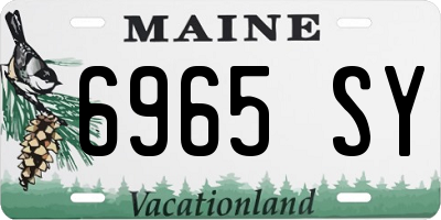 ME license plate 6965SY