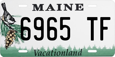 ME license plate 6965TF