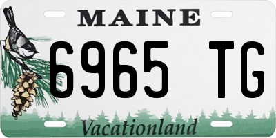 ME license plate 6965TG