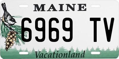 ME license plate 6969TV