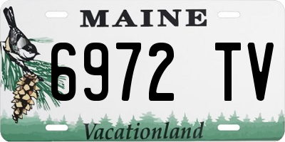 ME license plate 6972TV