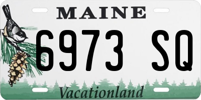 ME license plate 6973SQ