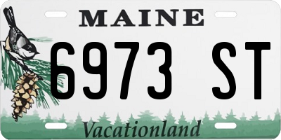 ME license plate 6973ST