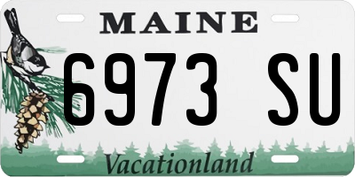 ME license plate 6973SU