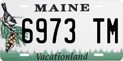 ME license plate 6973TM