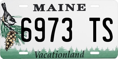 ME license plate 6973TS