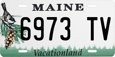 ME license plate 6973TV