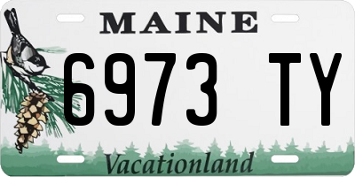 ME license plate 6973TY