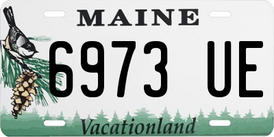 ME license plate 6973UE
