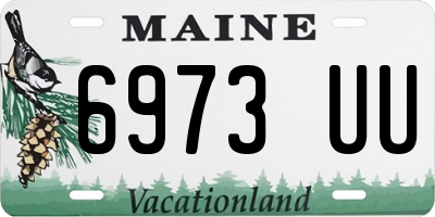 ME license plate 6973UU