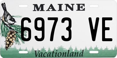 ME license plate 6973VE