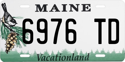 ME license plate 6976TD
