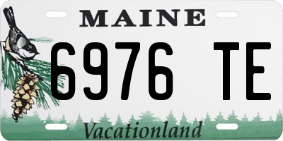 ME license plate 6976TE
