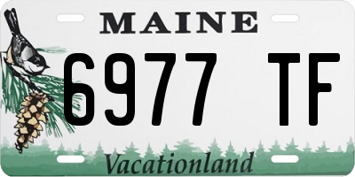 ME license plate 6977TF
