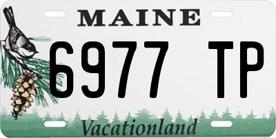 ME license plate 6977TP