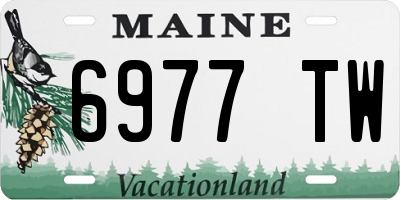 ME license plate 6977TW