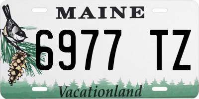 ME license plate 6977TZ