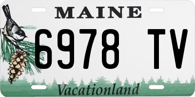 ME license plate 6978TV