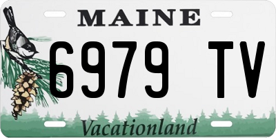 ME license plate 6979TV