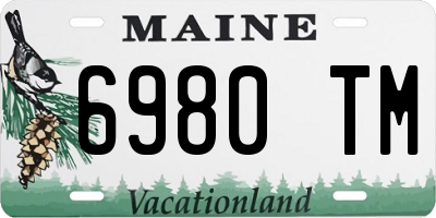 ME license plate 6980TM