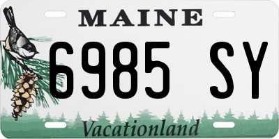 ME license plate 6985SY