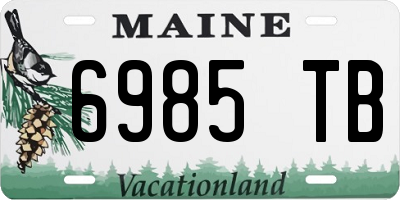 ME license plate 6985TB