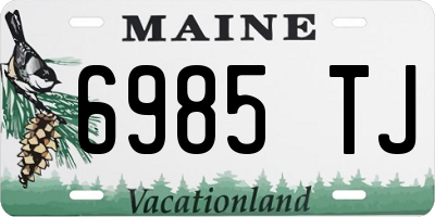 ME license plate 6985TJ