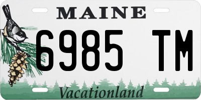 ME license plate 6985TM