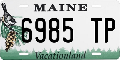 ME license plate 6985TP