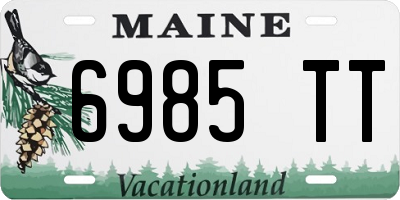 ME license plate 6985TT