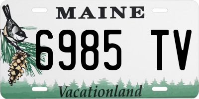 ME license plate 6985TV