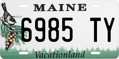 ME license plate 6985TY