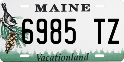 ME license plate 6985TZ