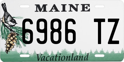 ME license plate 6986TZ