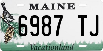 ME license plate 6987TJ