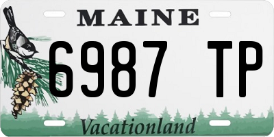 ME license plate 6987TP