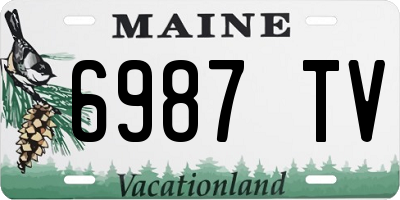 ME license plate 6987TV