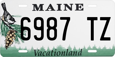 ME license plate 6987TZ