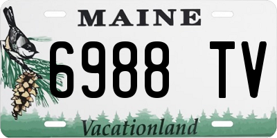 ME license plate 6988TV