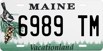 ME license plate 6989TM