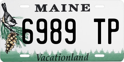 ME license plate 6989TP