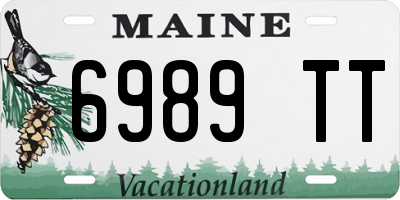 ME license plate 6989TT
