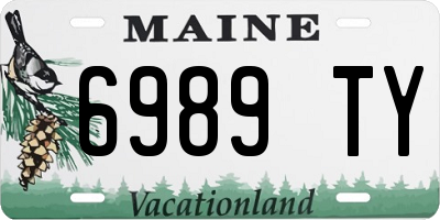 ME license plate 6989TY