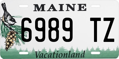 ME license plate 6989TZ